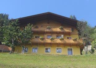 Grasreithof Sommer