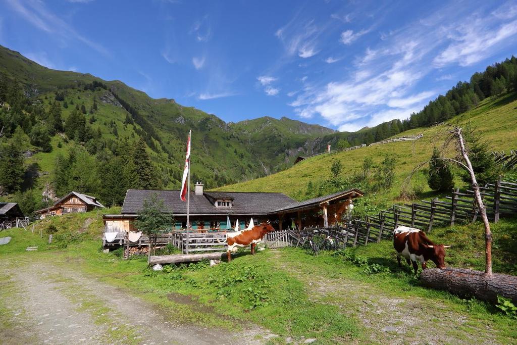 Kreealm-Kreehütte