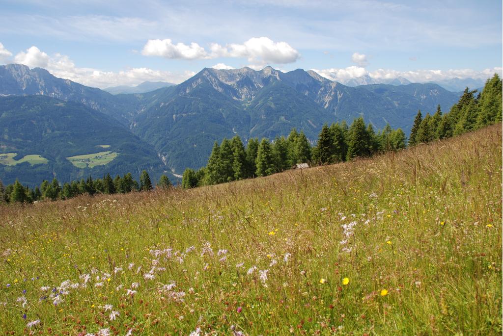 Blumenwiese Oberberger Alm - mit Reißkofel und Jauken im Hintergrund