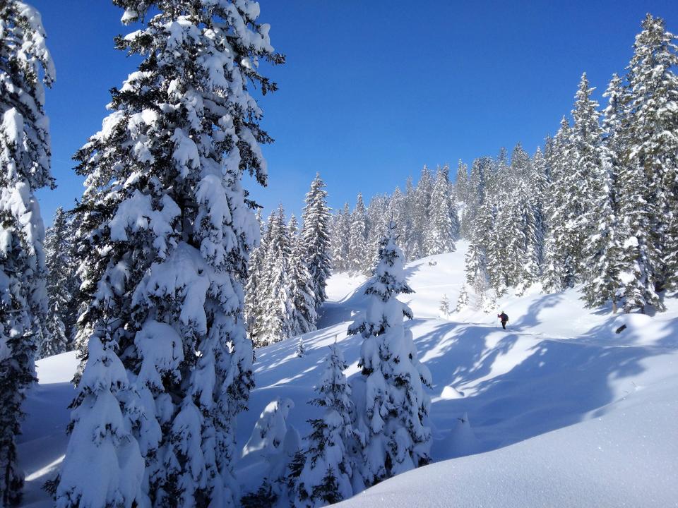 Klippitztörl - Schneeschuh