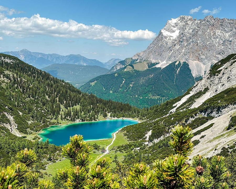TVB Natur Sommer 91.jpg