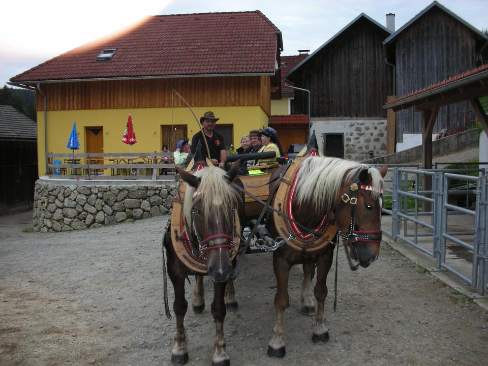 Scherhäufl Ranch