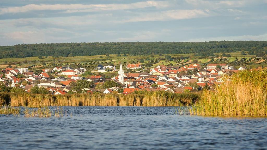 Blick auf Mörbisch
