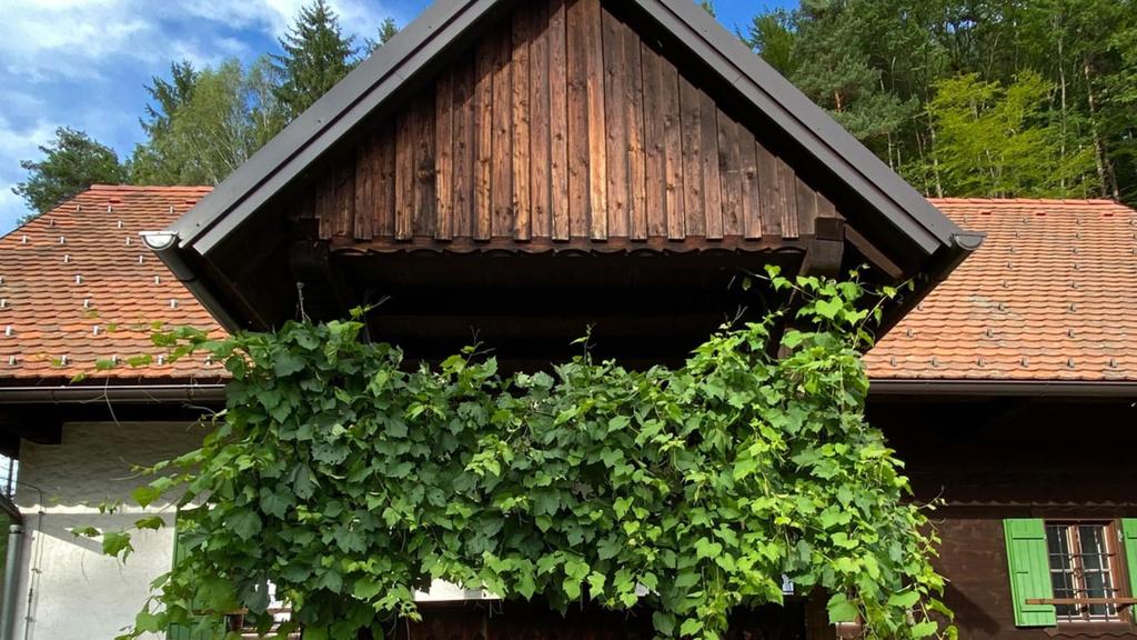 Eichberg-Living-Überdachte-Terrasse