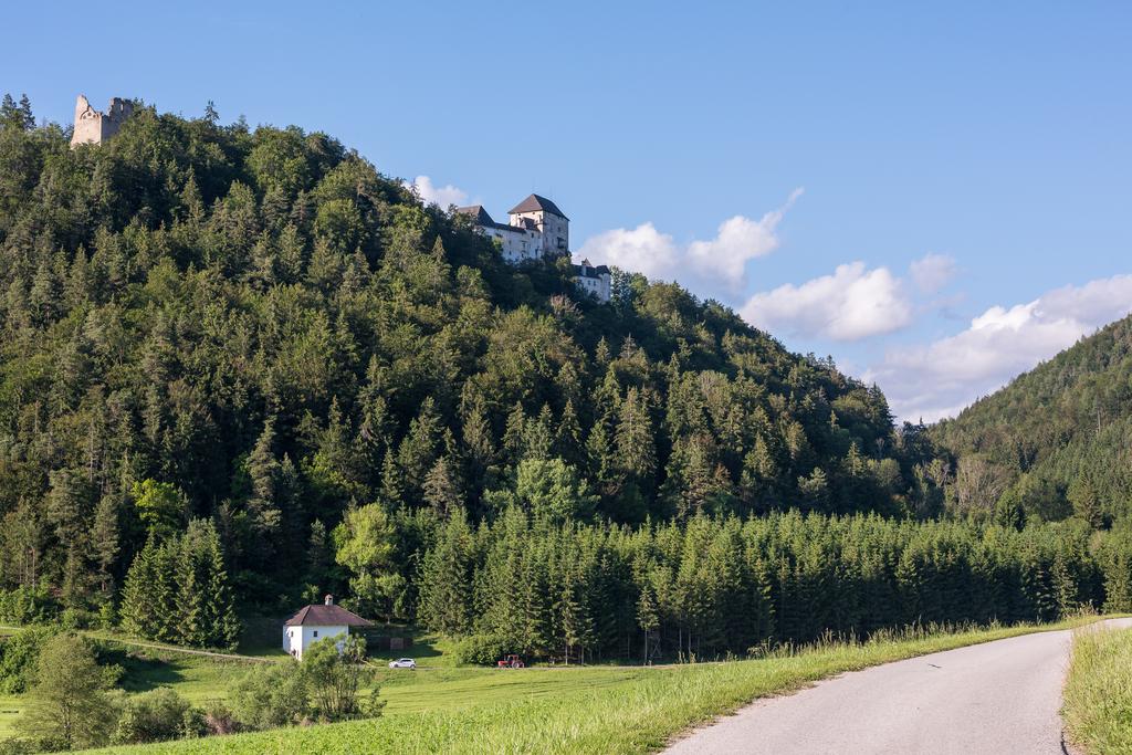 Ruine Altmannsberg und Burg Mannsberg