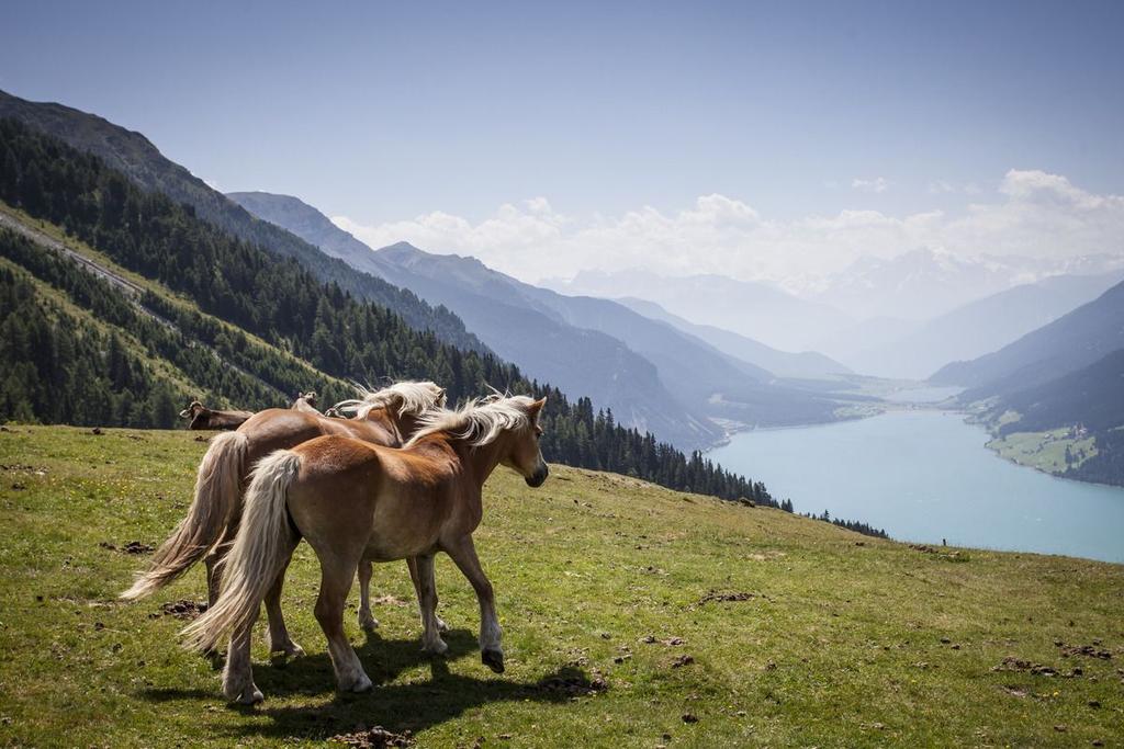 ©-TVB-Tiroler-Oberland-Nauders-Daniel-Zangerl-Landschaft-Bergbahn-2013 (20).jpg