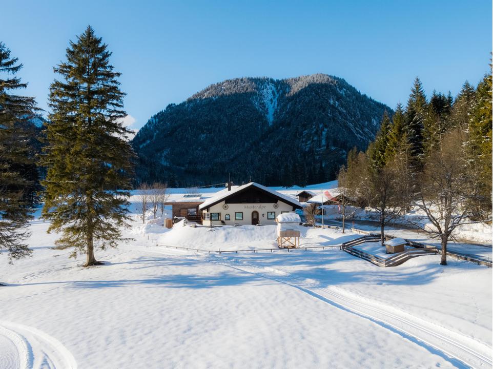 Musteralpe Winter