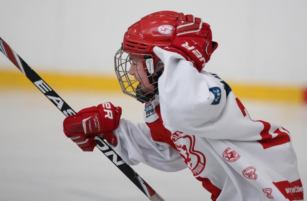 Eishockey