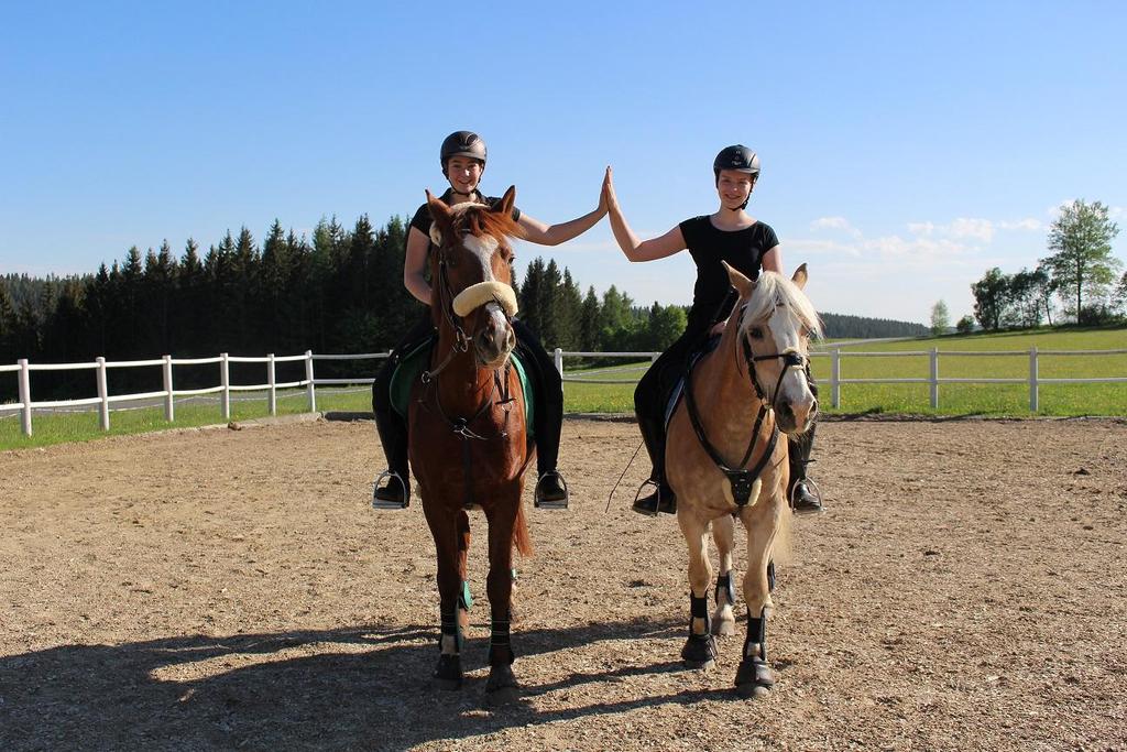 Reiterhof "Das Leitner"_Reiten_Oststeiermark