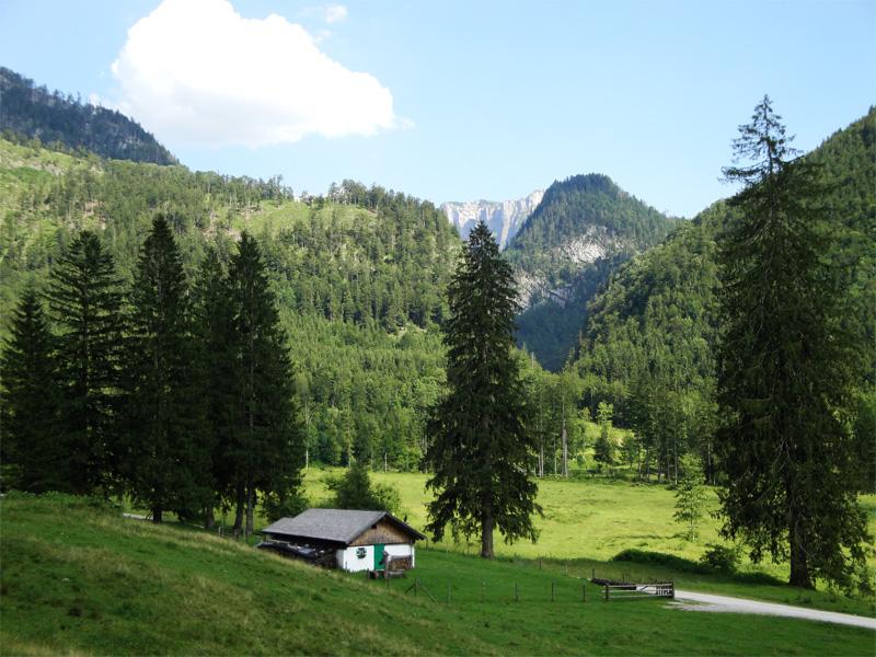 Gamskogel