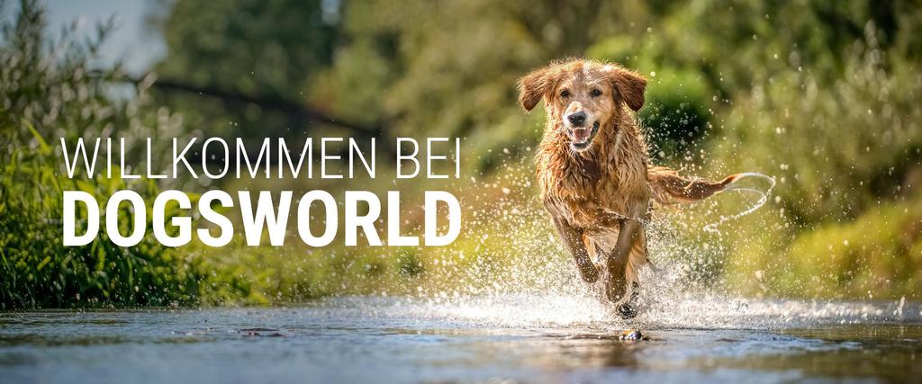 Dogsworld