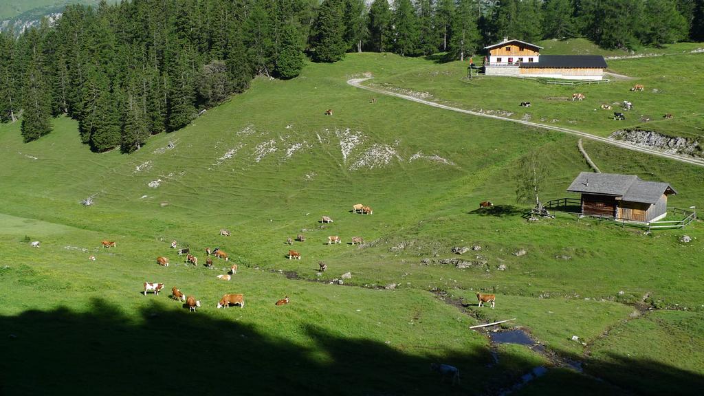 Muthenau Alm