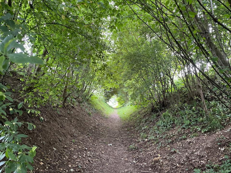 L3 Saaßer Trail