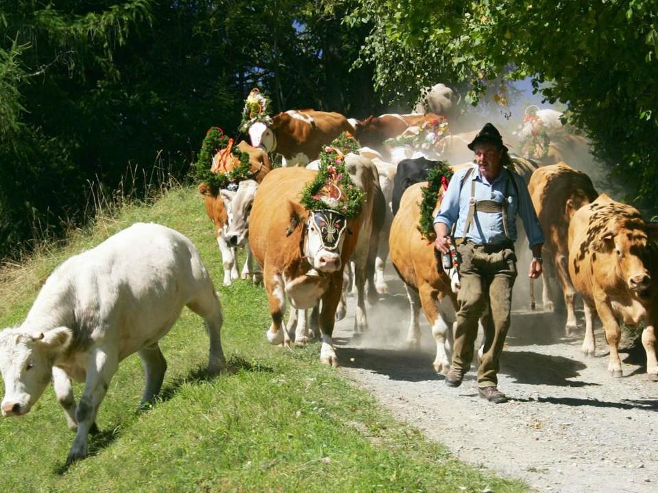 Almabtrieb Bad Kleinkirchheim