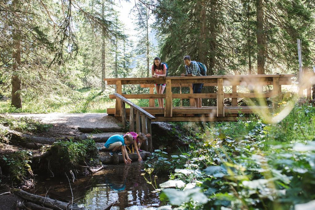Wurzeralm NaturErlebnisWelt