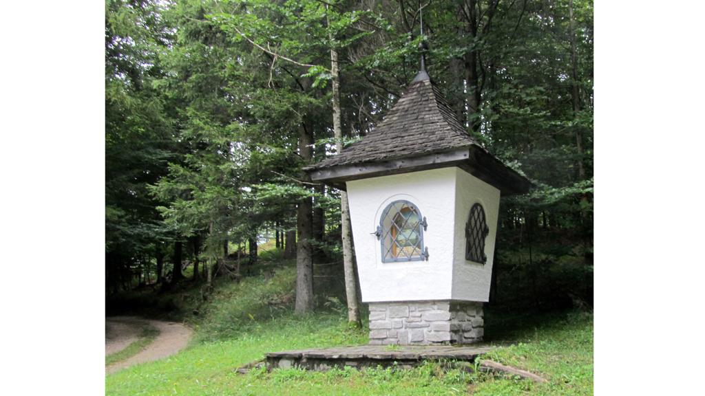 Zahn-Bildstock