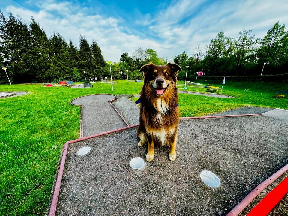 Minigolf Freinberg