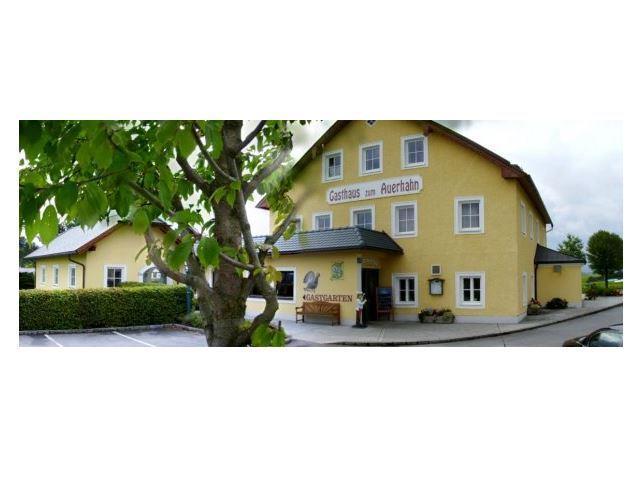 Auerhahn im Sommer