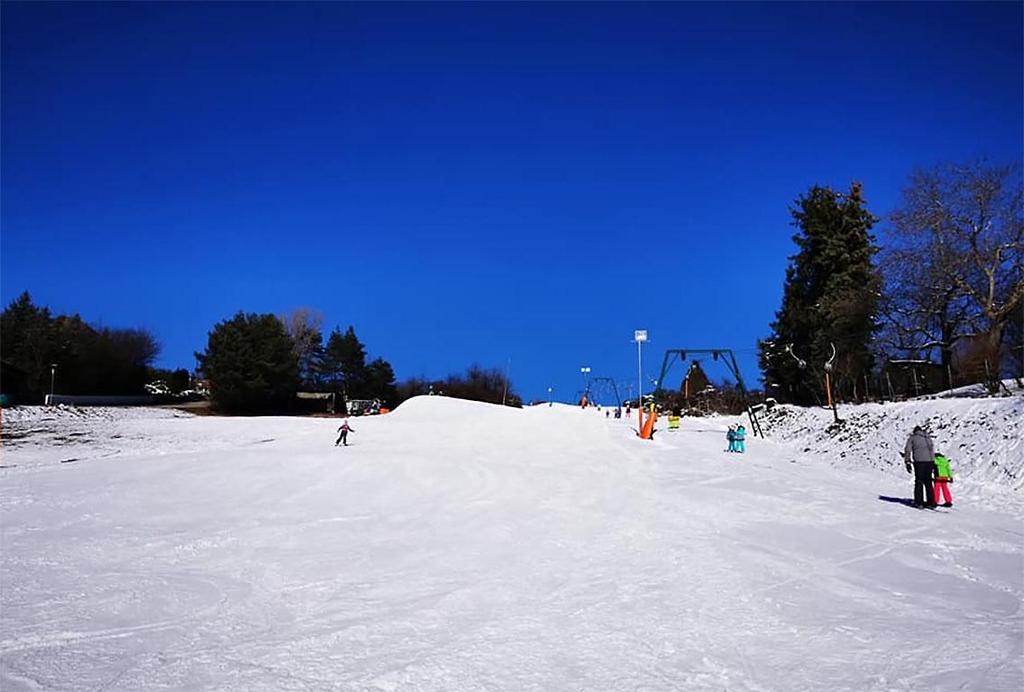 Schiwiese Wiesen Lift