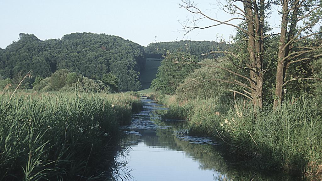 Pfeiferanger_Blick-auf-den-Hauptwasserkanal-westlich-vom-Seeleithensee_c-Limberger-Josef_web