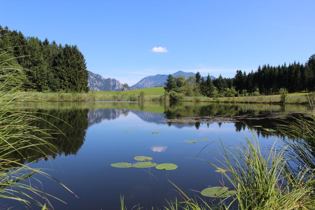 Hochmoorsee Egelsee in Unterach am Attersee