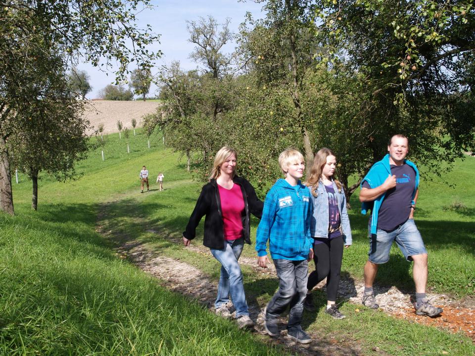 Wandern im Naturpark Obst-H%c3%bcgel-Land Herbst 3