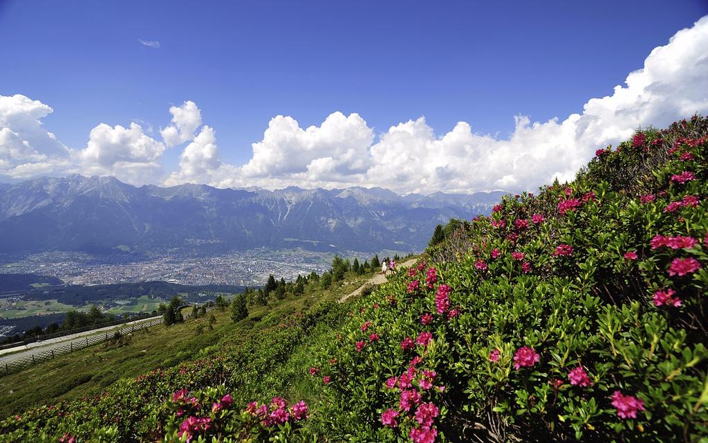 Zirbenwegpanorama_1920x1200.jpg