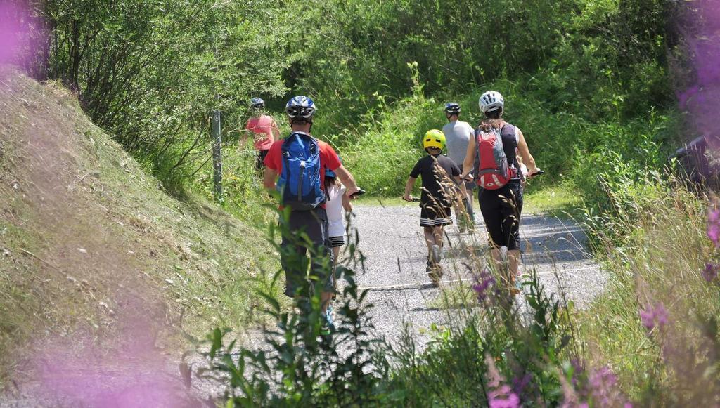 TVB Bergroller 3.jpg