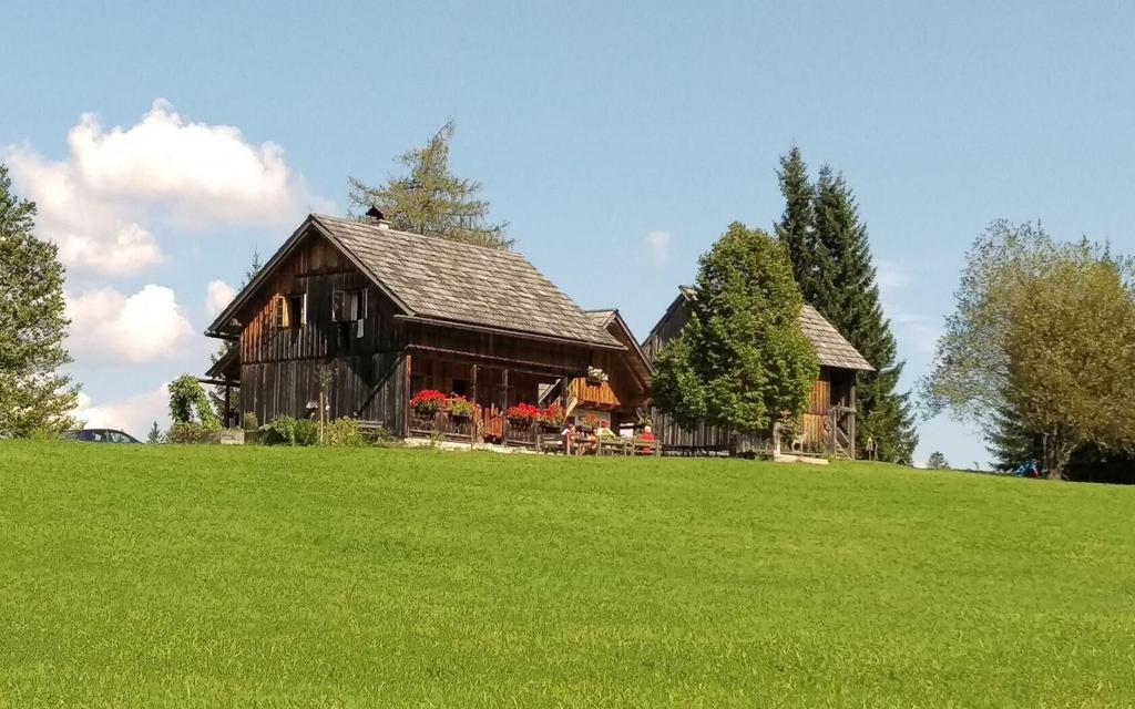 Steinitzenalm Hütte
