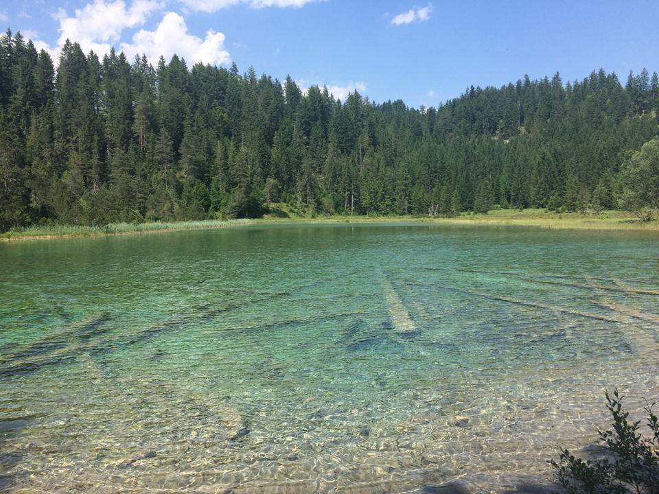 Riedener See