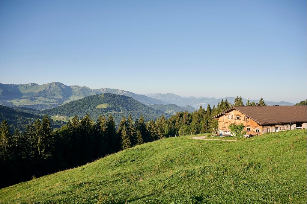 Alpe Schwarzenberger Platte im Lecknertal