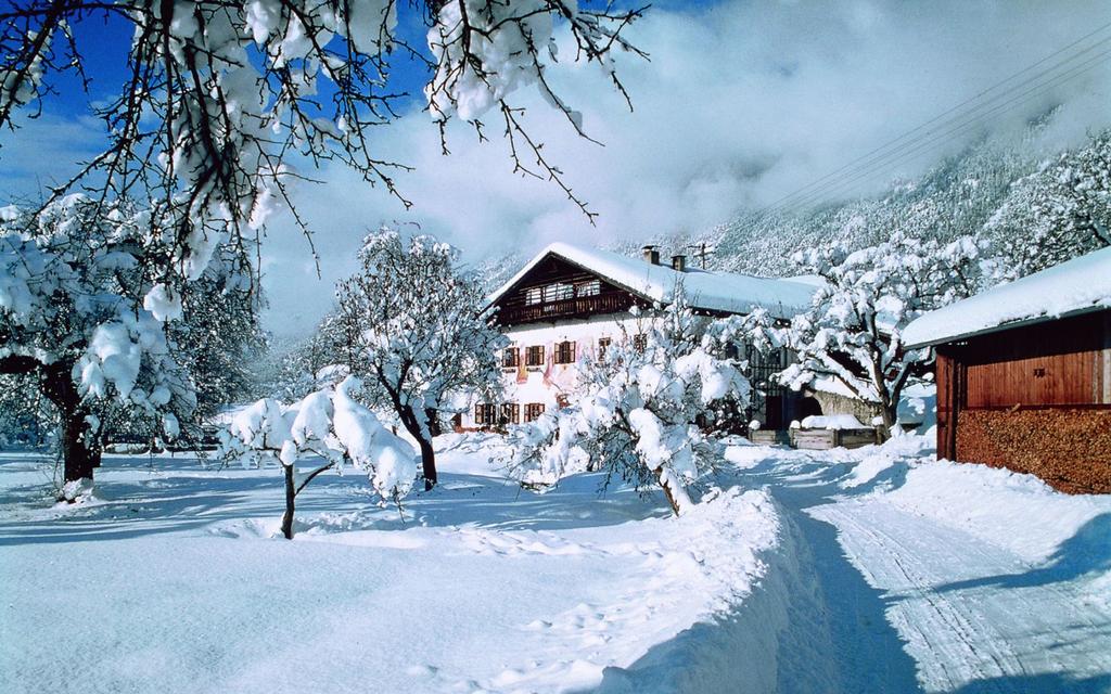 Winter Wildermieming.jpg