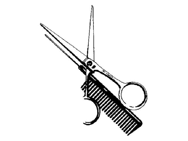 Mobile Friseurin