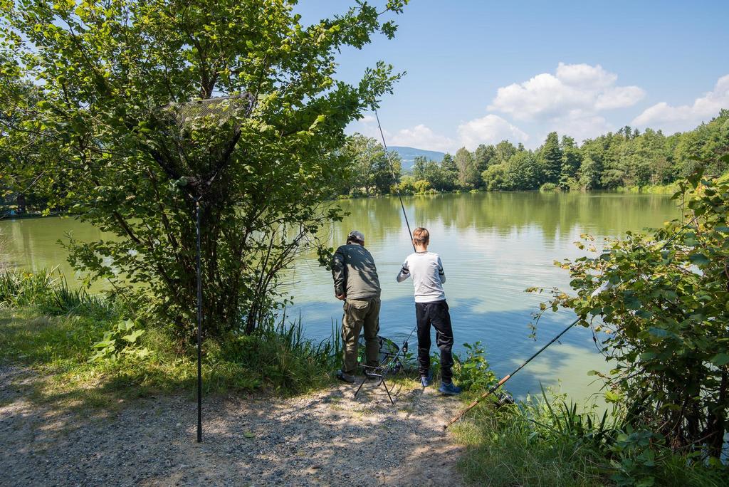 Winzendorfer Teiche_Fischen_Oststeiermark