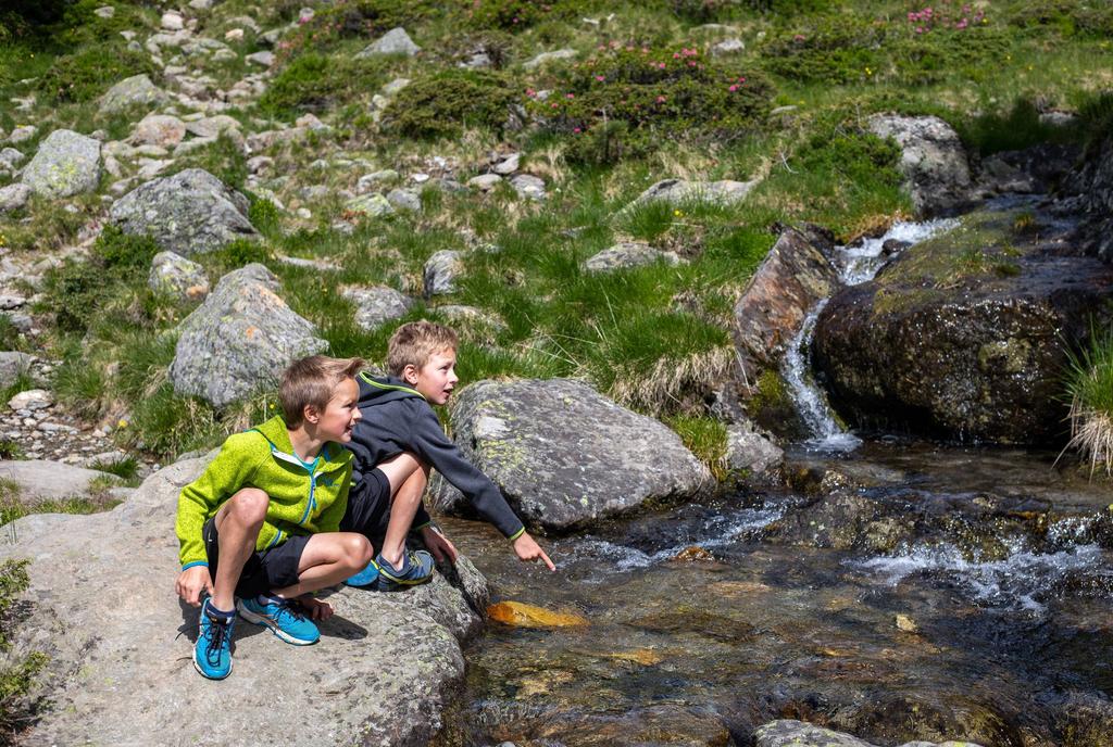 NaturlehrwegDebanttal_cNationalparkHoheTauern_Kastl_Assil_126.JPG