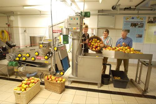 Obstpresse