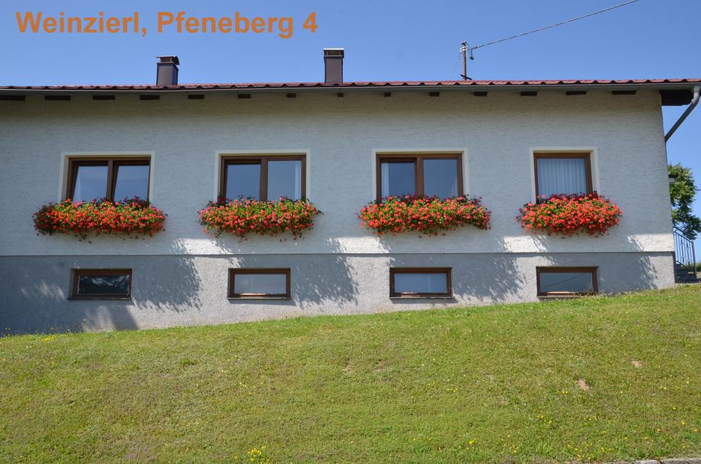 Wirt in Pfeneberg