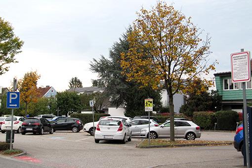 web_img_1964