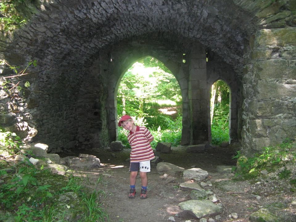 Burgruine Falkenstein