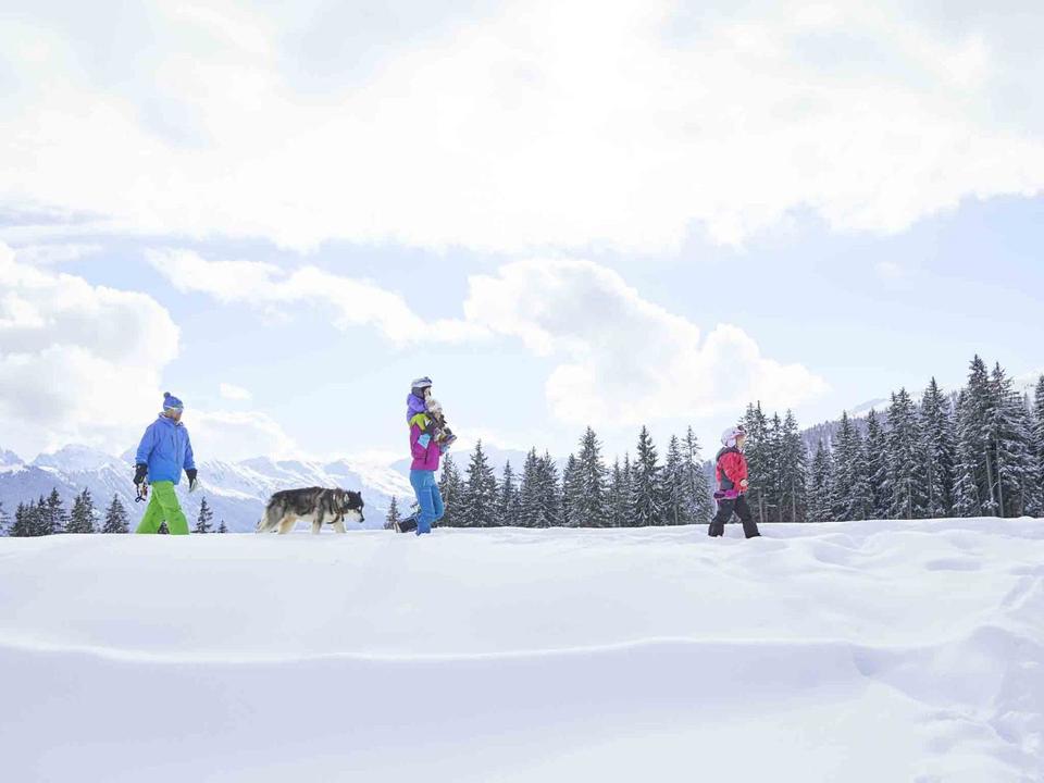 Winterwandern.jpg