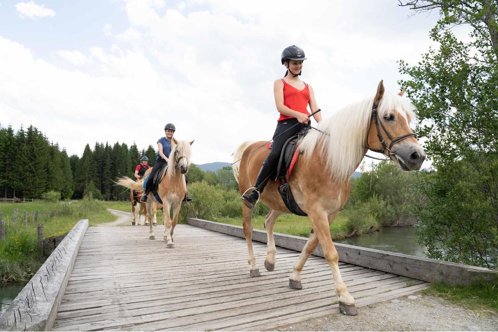 Reiten
