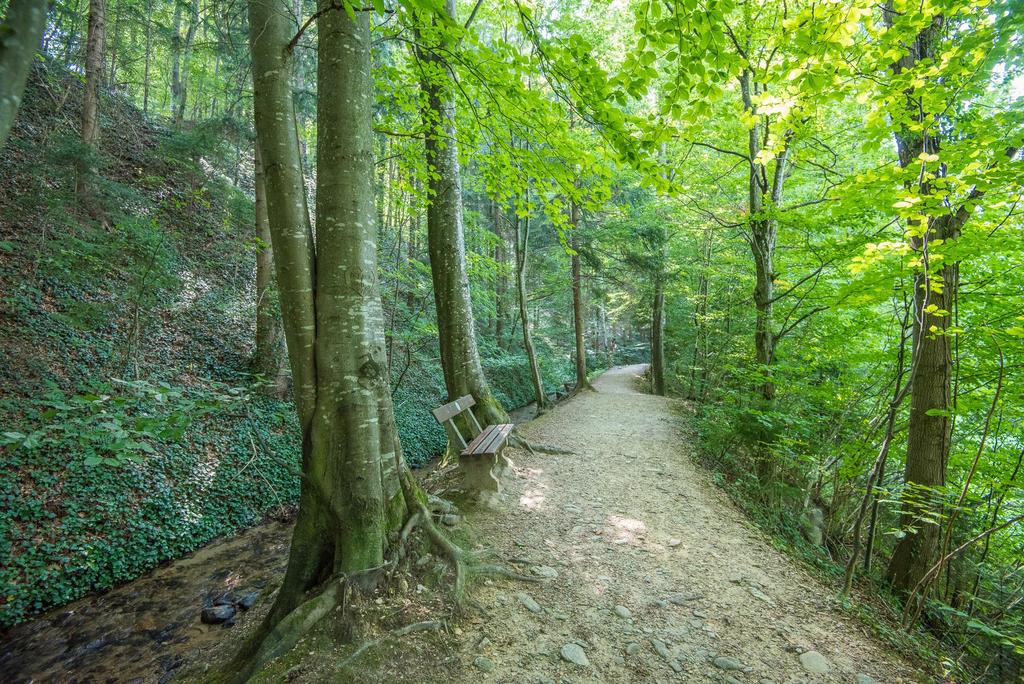 Bankerl Hinterbrühl_Pöllau_Oststeiermark