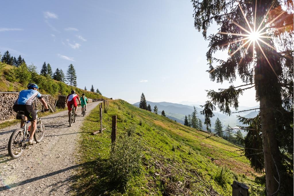 MTB