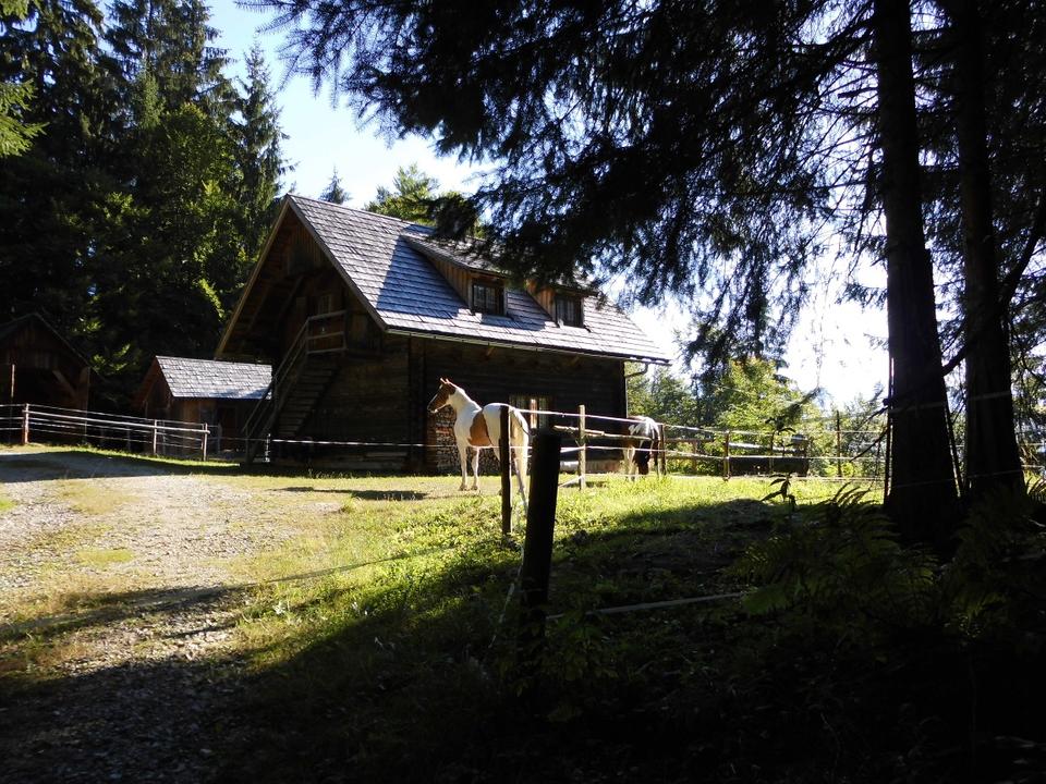 Werfneralmhütte