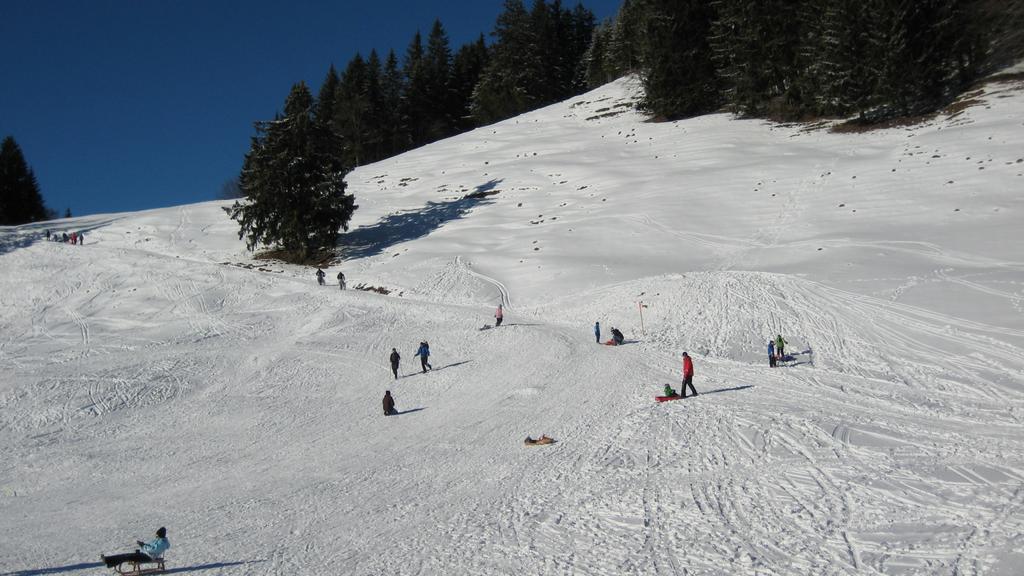 Rodeln in Götzis