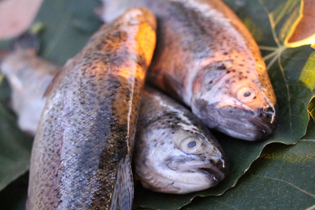 Fischverkauf