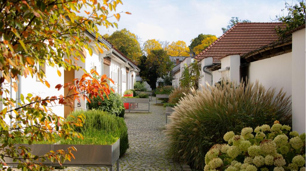 Innen-Garten