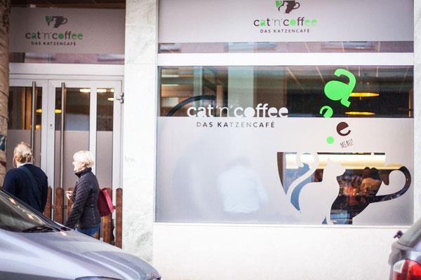 Cat´n´coffee5