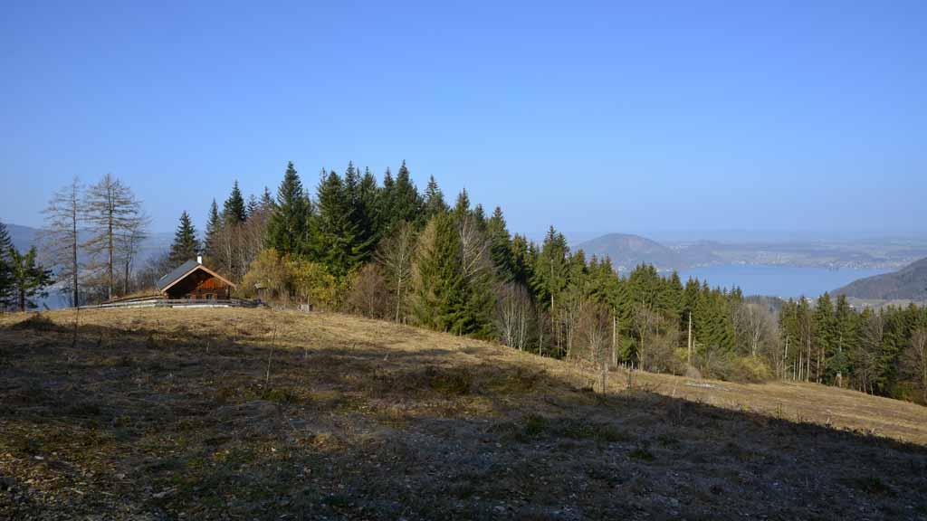 Gupf Alm tour Foto Herbert Benedik