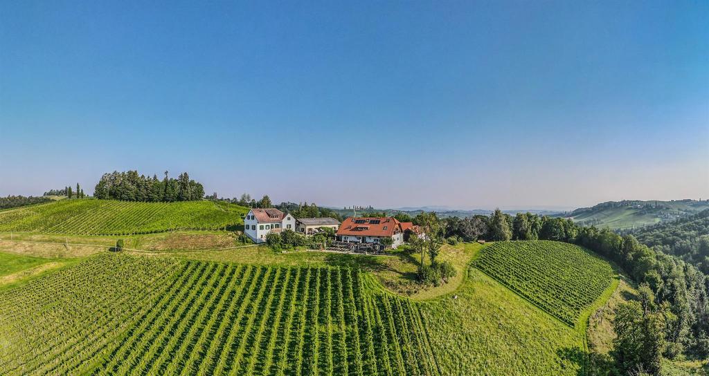 Weingut Hack-Gebell Weingarten